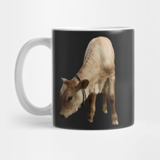 Funny beef calf cattle Mug